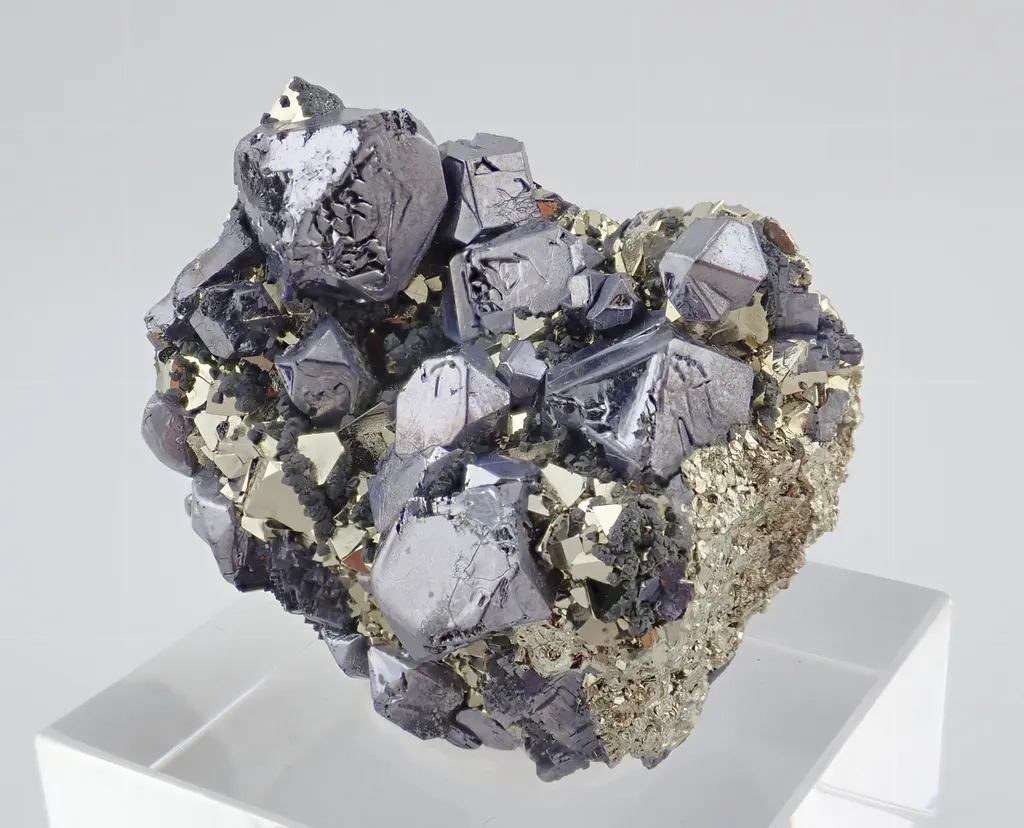 Galena with Pyrite image