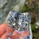 Galena with Pyrite - image 4