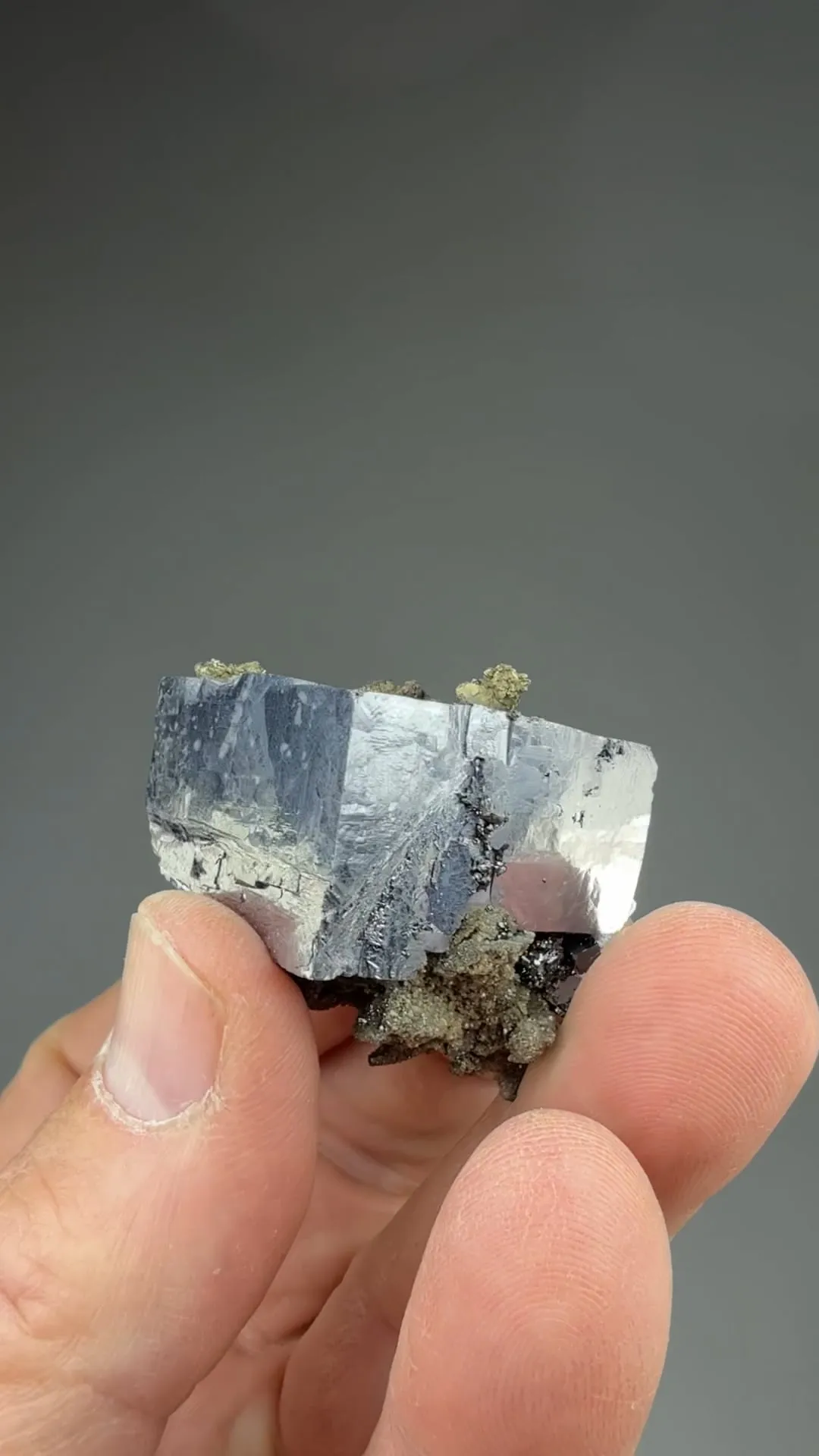 Galena with Pyrite - image 2