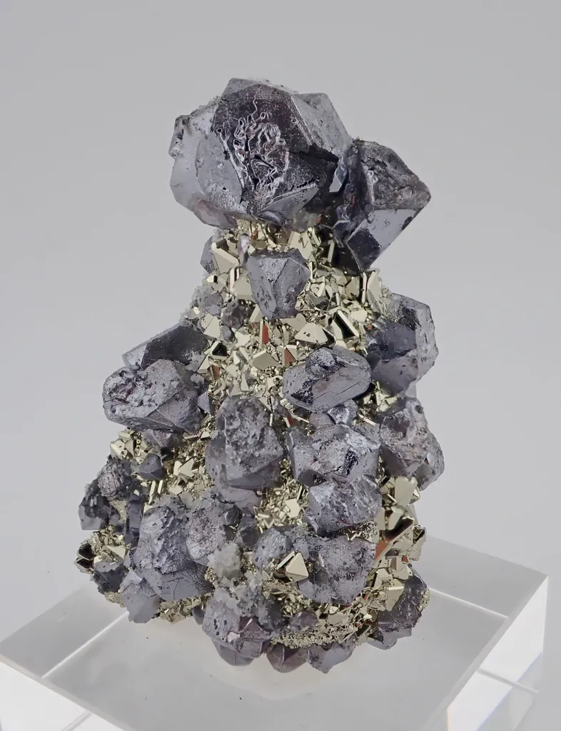 Galena with Pyrite image