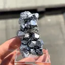 Galena with Pyrite - image 5