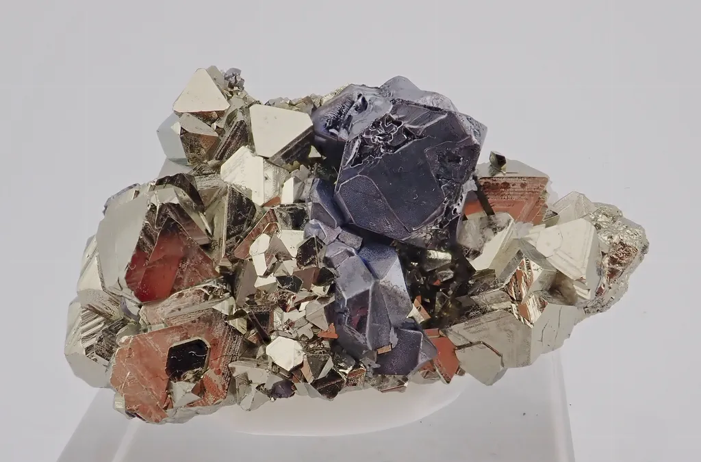 Galena with Pyrite image