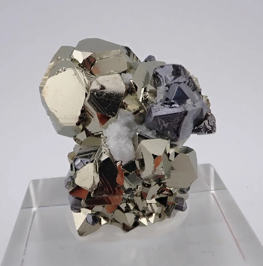 Galena with Pyrite image