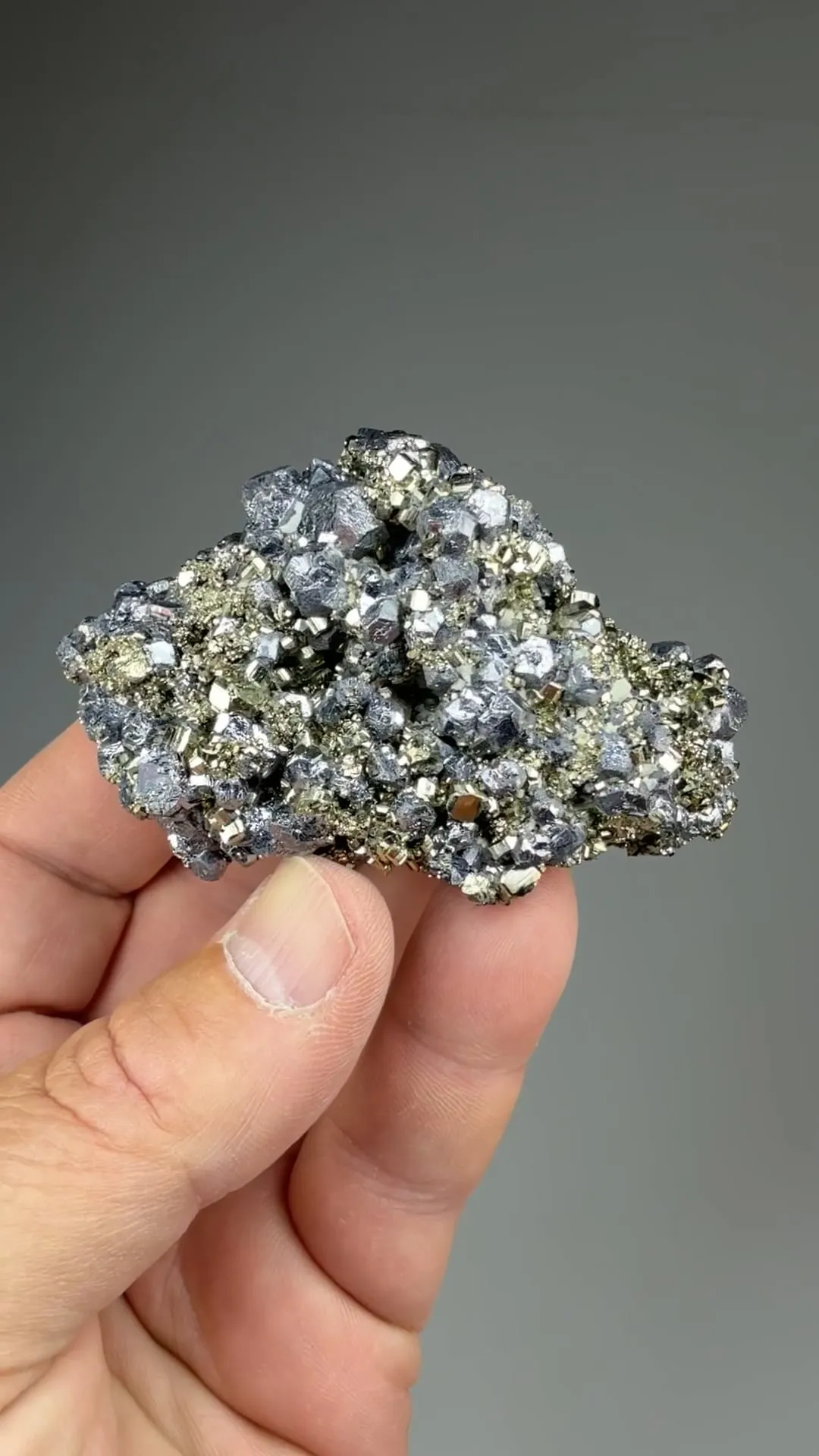 Galena with Pyrite - image 2