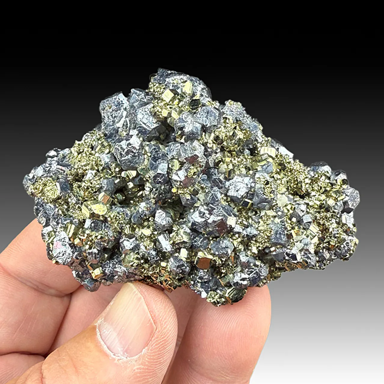 Galena with Pyrite - image 1