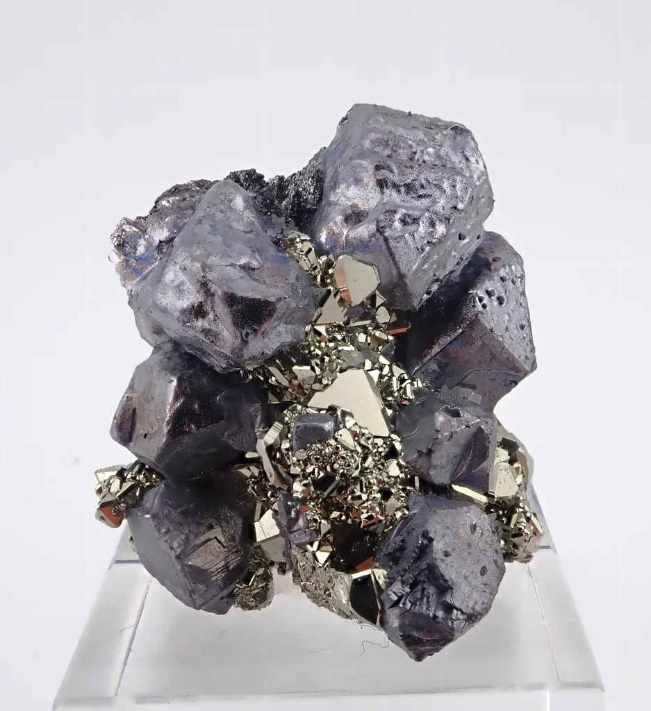 Galena with Pyrite image
