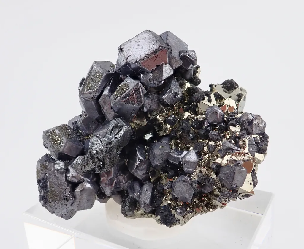 Galena with Pyrite image