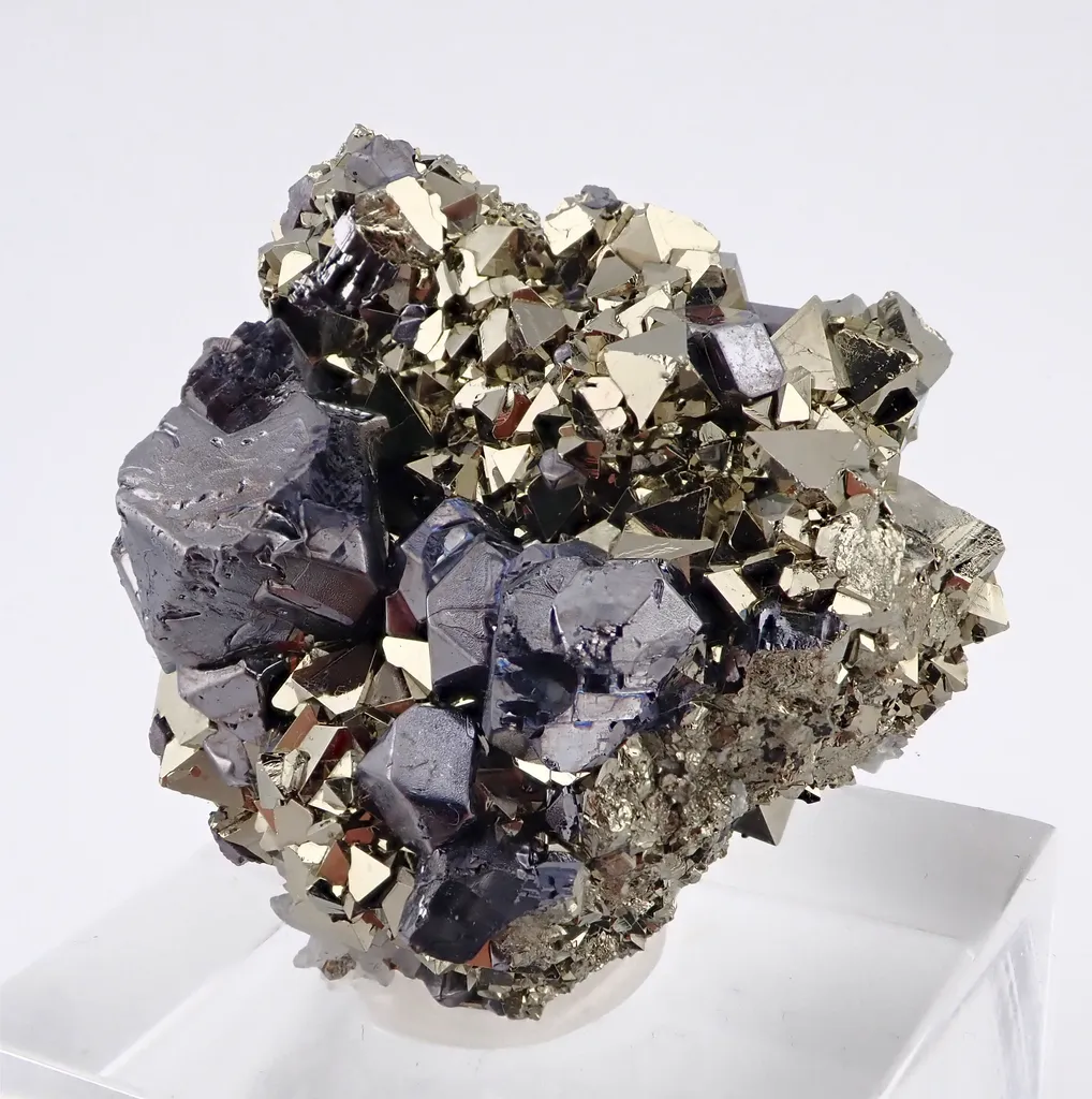 Galena with Pyrite image