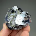 Galena with Pyrite - image 2