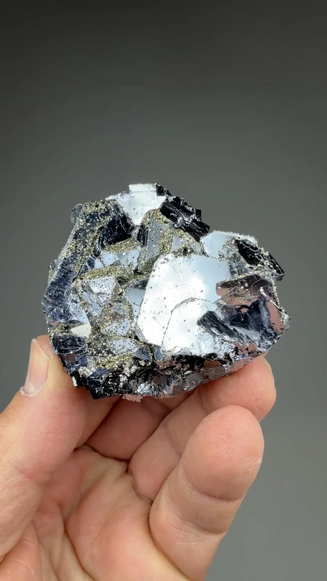 Galena with Pyrite - image 2