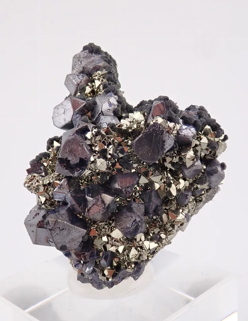 Galena with Pyrite image