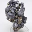Galena with Pyrite - image 2