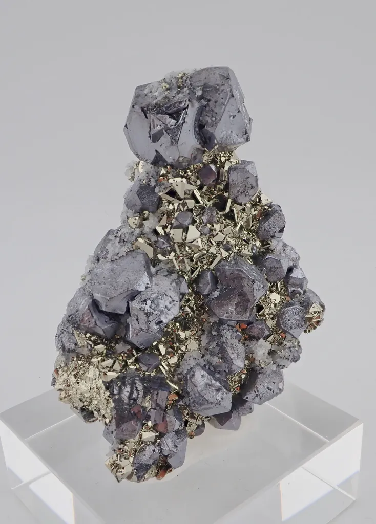 Galena with Pyrite - image 4
