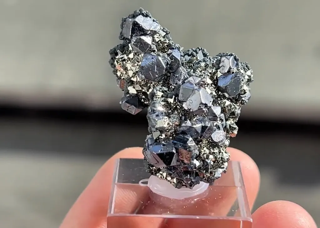 Galena with Pyrite - image 5
