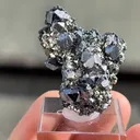 Galena with Pyrite - image 5