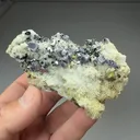 Galena with Quartz, Chalcopyrite, Sphalerite - image 2