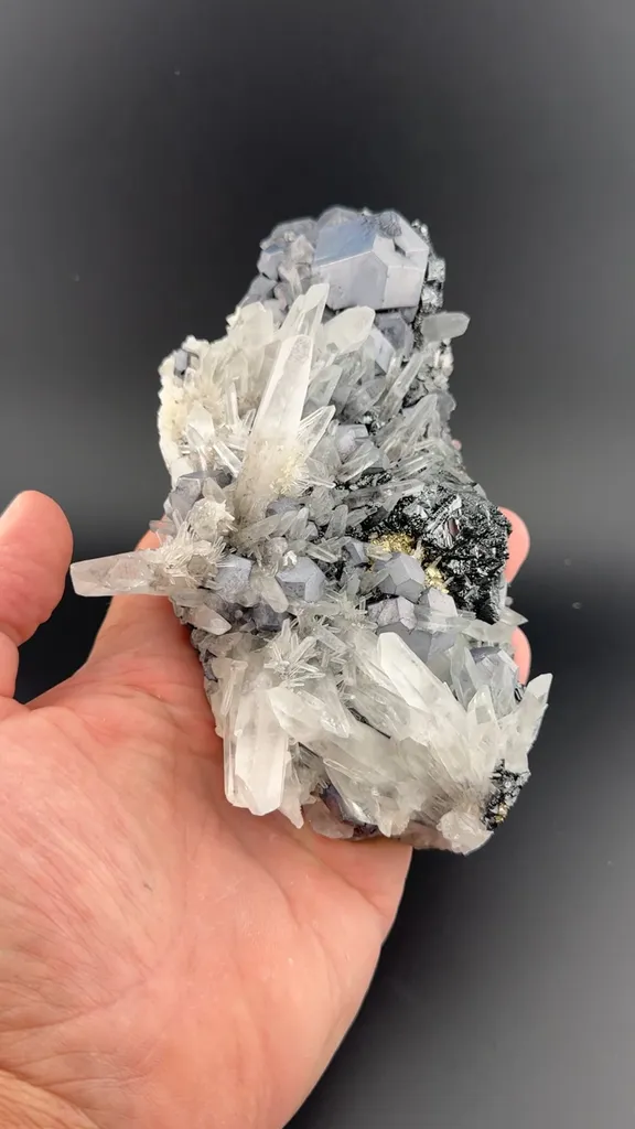 Galena with Quartz, Sphalerite, Pyrite image