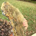 Galena with Siderite - image 2