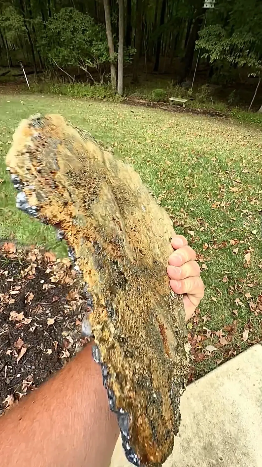 Galena with Siderite - image 2