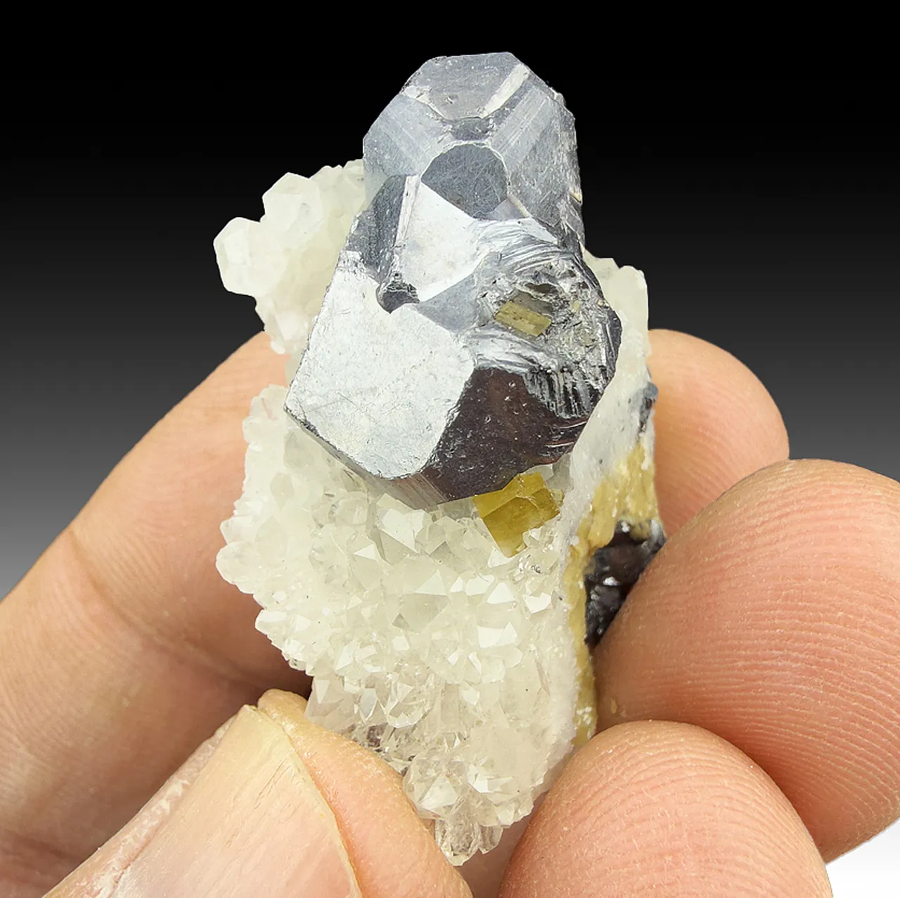 Galena with Siderite, Quartz - image 1