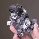 Galena with Sphalerite - image 2