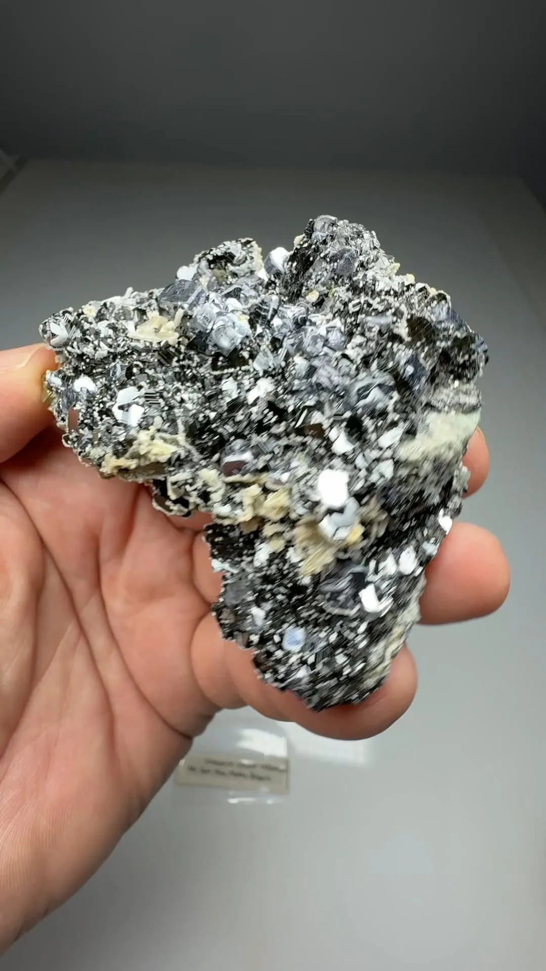 Galena with Sphalerite, Chalcopyrite - image 2