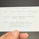 Galena with Sphalerite, Chalcopyrite - image 2