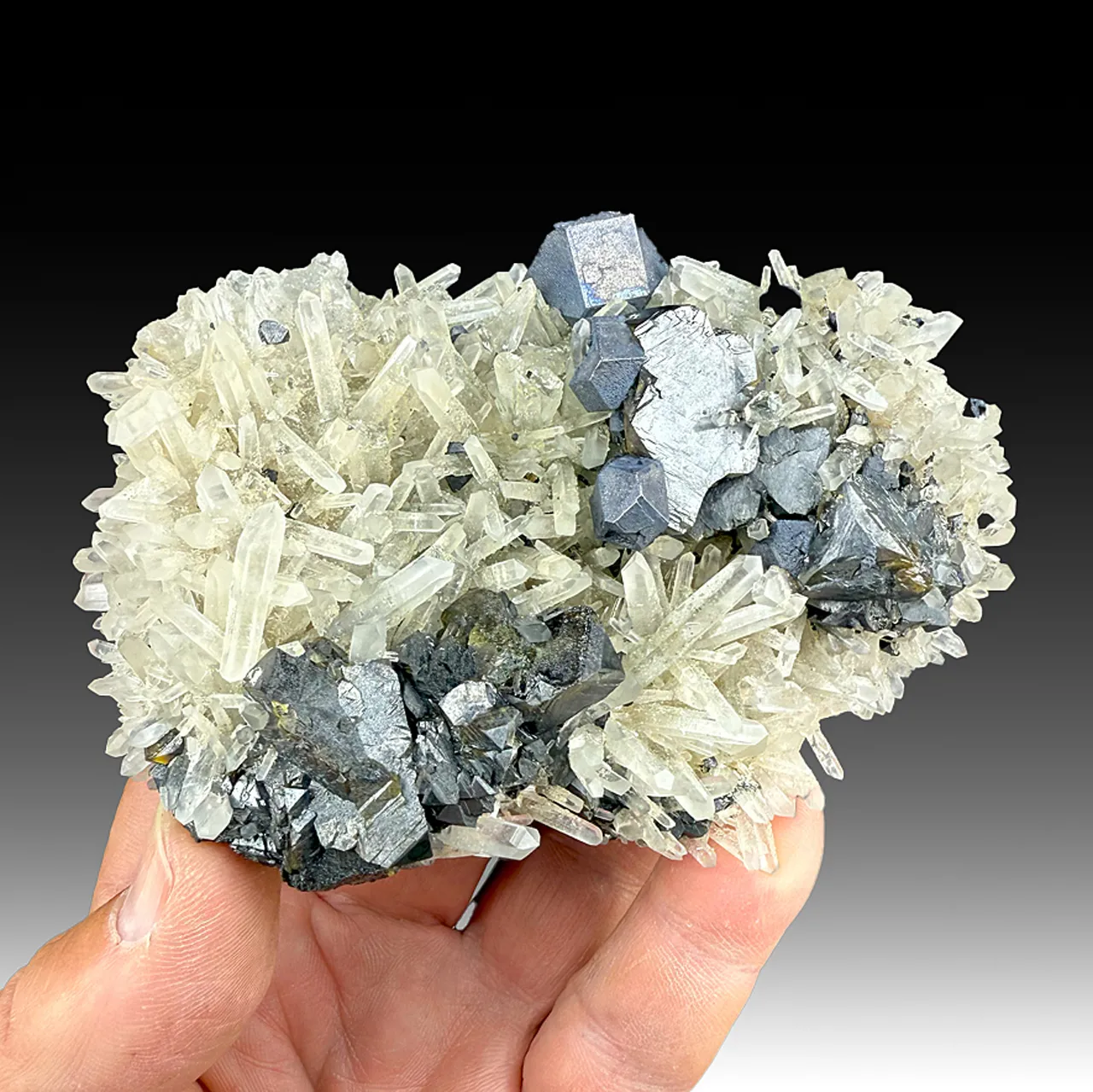 Galena with Sphalerite, Quartz - image 1