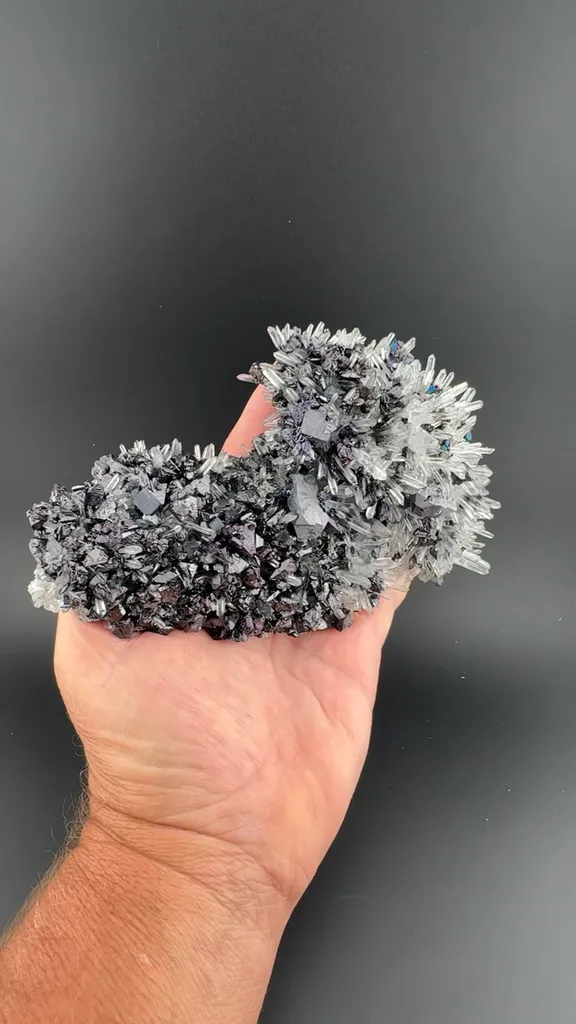 Galena with Sphalerite, Quartz image