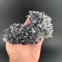 Galena with Sphalerite, Quartz - image 1