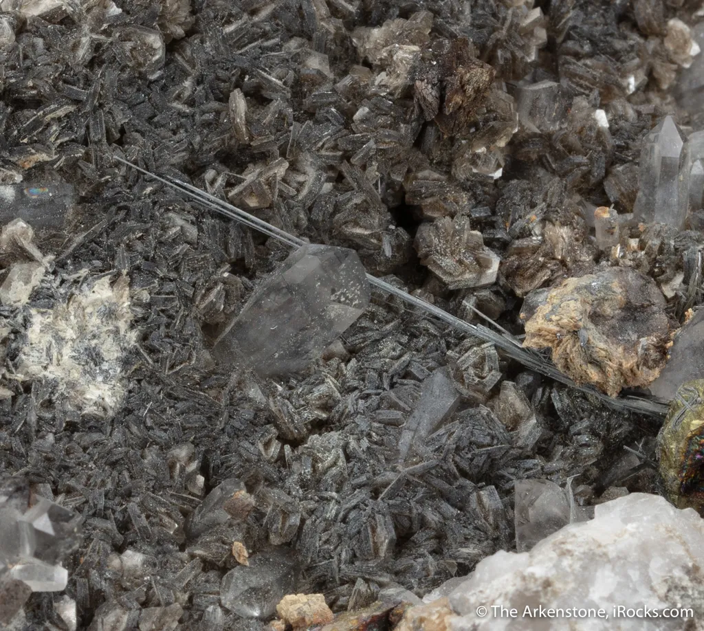 Galenobismutite on Muscovite and Quartz image