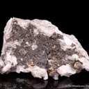 Galenobismutite on Muscovite and Quartz - image 2