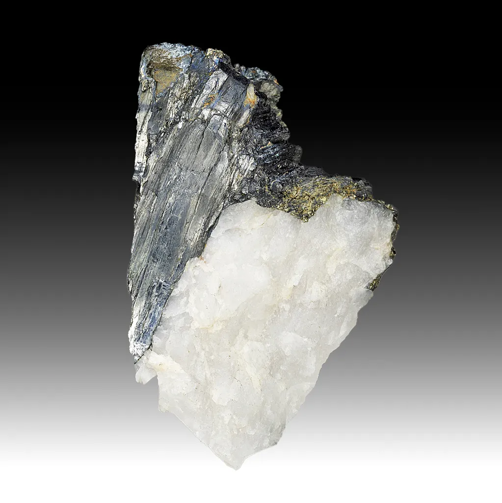 Galenobismutite with Pyrite, Quartz image