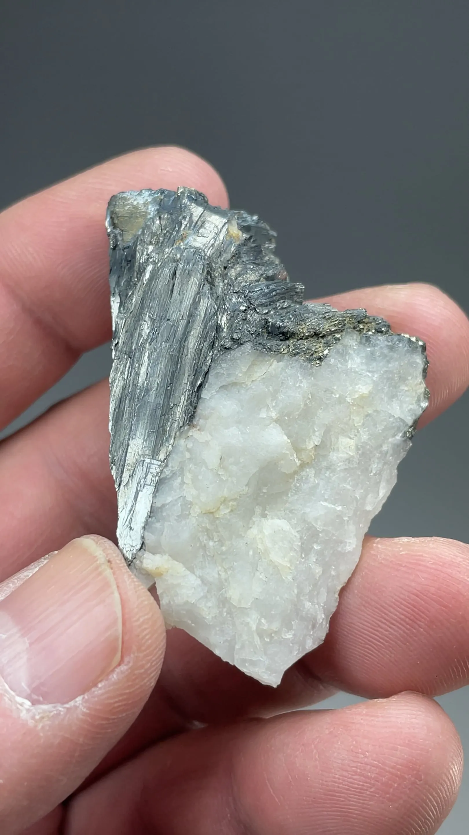 Galenobismutite with Pyrite, Quartz - image 2