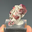Garnet - image 3