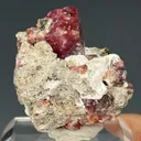 Garnet - image 2