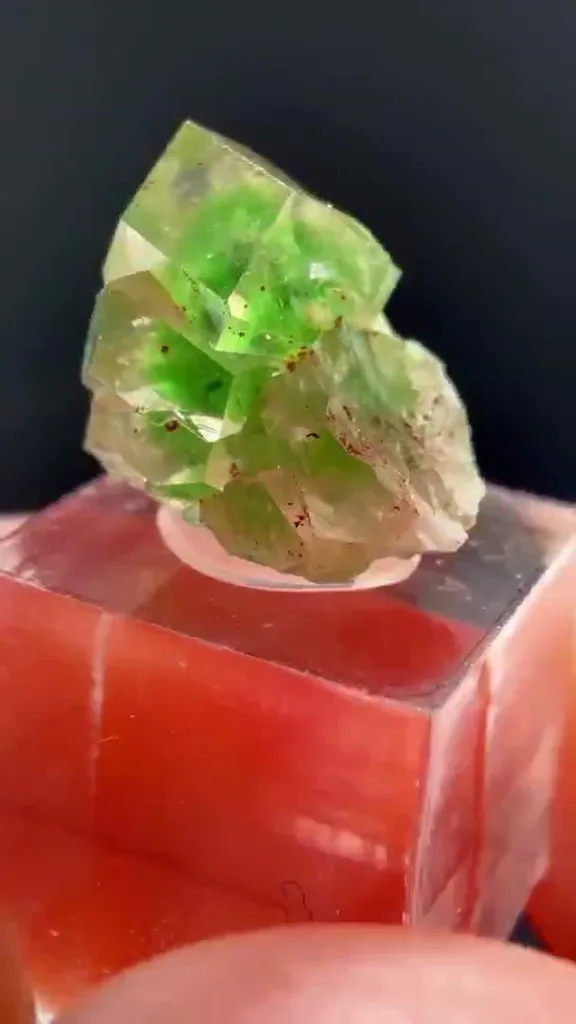 Garnet - image 4