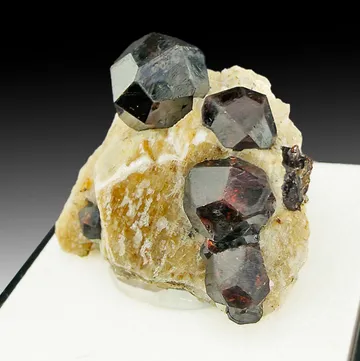 Garnet