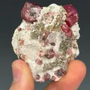 Garnet - image 1