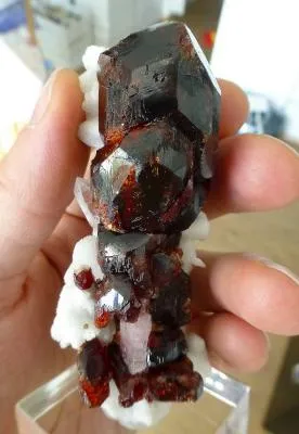 Garnet - image 2