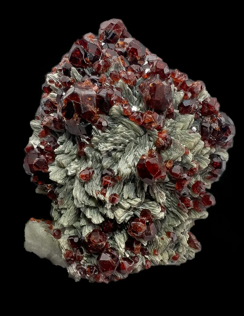 Garnet and Muscovite on Albite image