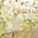 Garnet Andradite var. Demantoid 81 grams - Malenco Valley, Lombardy, Italy - image 3