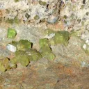 Garnet Andradite var. Demantoid 81 grams - Malenco Valley, Lombardy, Italy - image 2