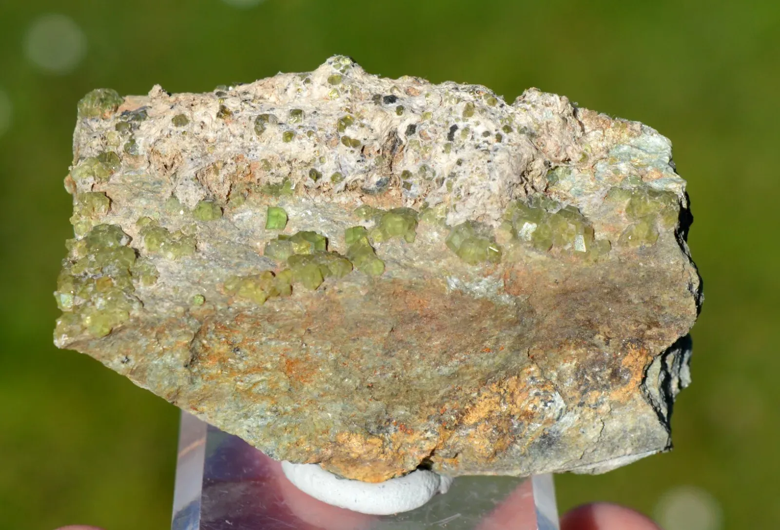 Garnet Andradite var. Demantoid 81 grams - Malenco Valley, Lombardy, Italy - image 1