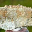 Garnet Andradite var. Demantoid 81 grams - Malenco Valley, Lombardy, Italy - image 6