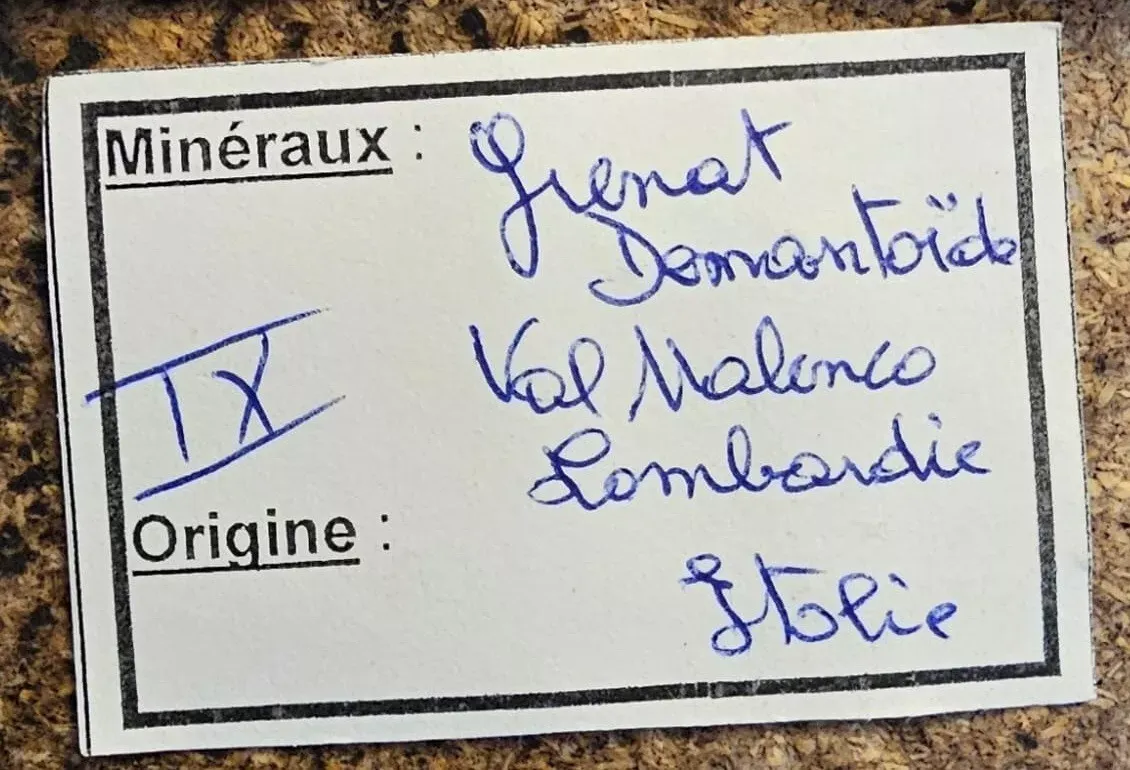 Garnet Andradite var. Demantoid 81 grams - Malenco Valley, Lombardy, Italy - image 7