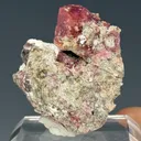 Garnet - image 3