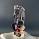 specimen video