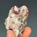 Garnet - image 2