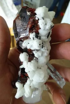 Garnet - image 3